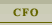 CFO and Finance